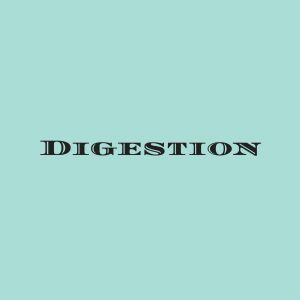 picture of the word digestion
