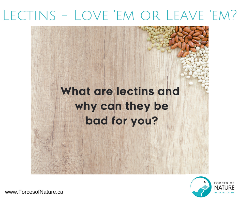 lectins - are they bad for you?